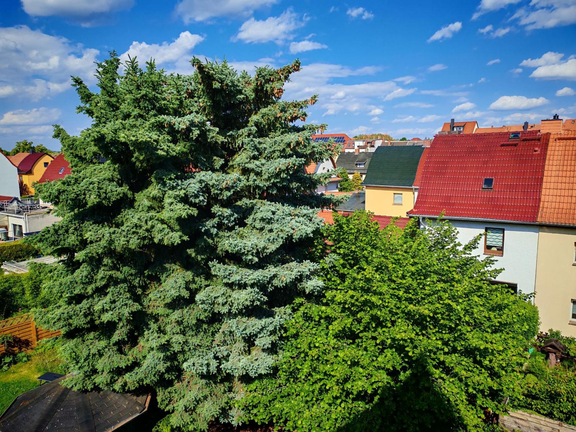 Domstadt Apartments Merseburg Exterior foto